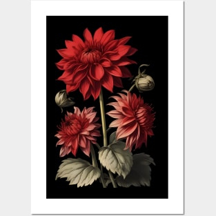 Red Dahlia Flowers Vintage Botanical Illustration Posters and Art